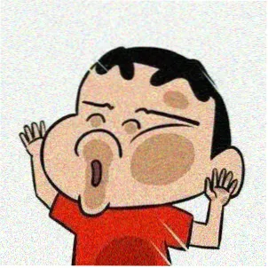 读者沈迟头像